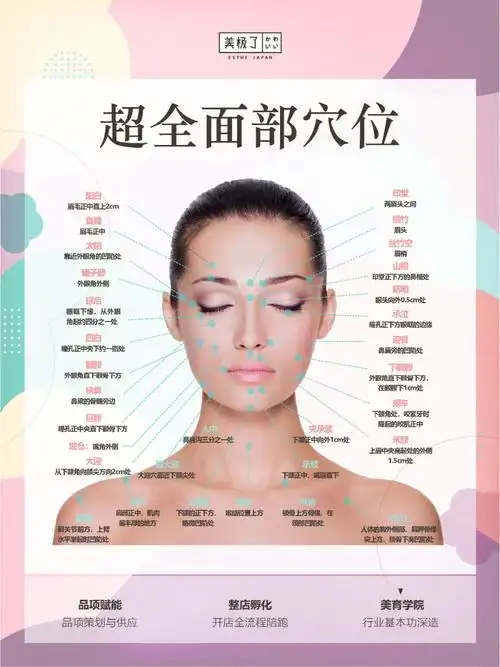 美业新手入门收藏面部超全穴位图解