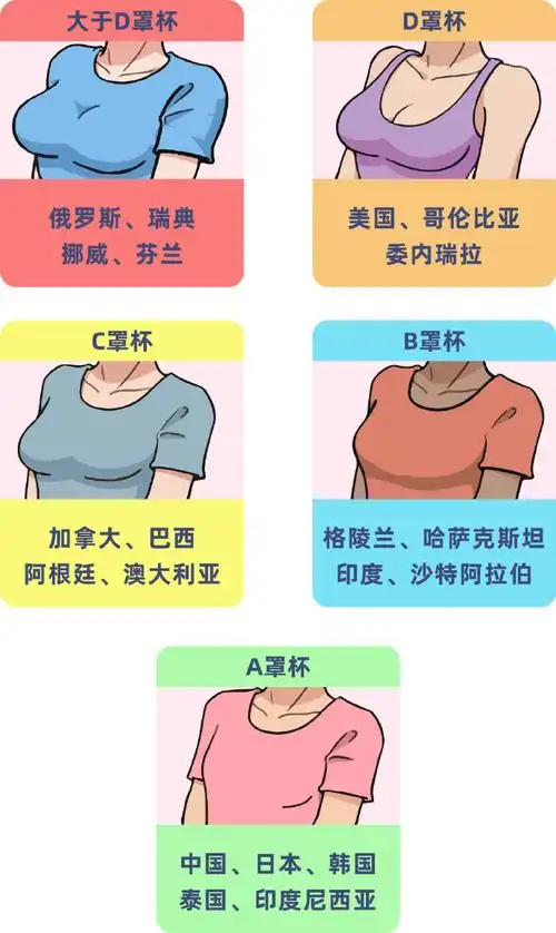 一张"全球女性胸部大小分布图"(图一)也证实了地图以颜色区分罩杯尺寸