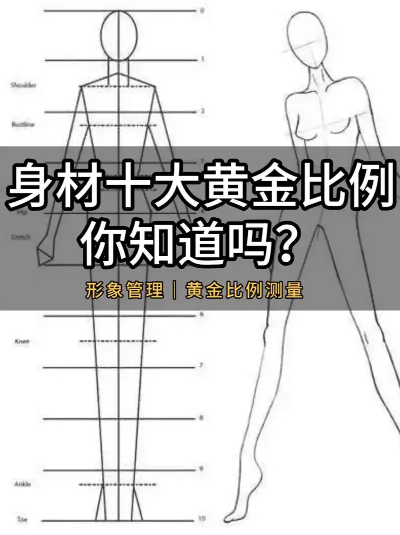 黄金比例在身体上到底是怎么呈现的呢? 工具:一个你,一把软尺 1).