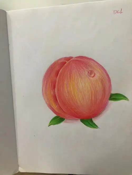 彩铅水果桃子