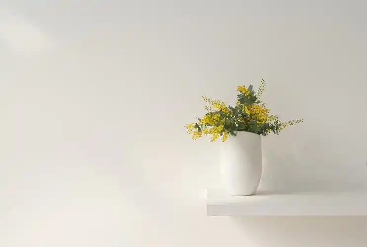 简约干净墙面上的盆栽小黄花ppt背景图片