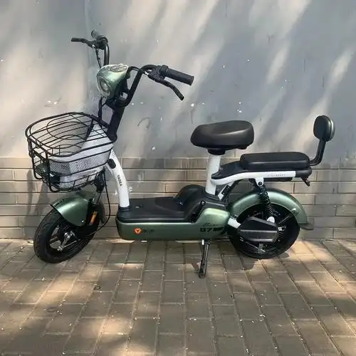 雅迪轻便车型小金鼠电池可拆卸4812锂电