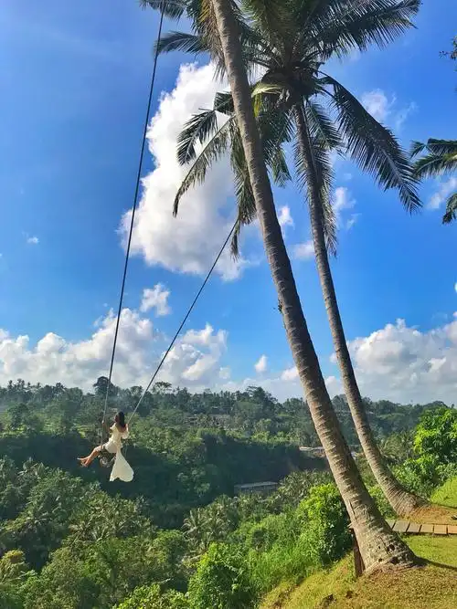 纯干货:巴厘岛超全网红秋千攻略大合集