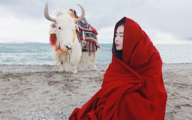 网络明星张辛苑图片壁纸张辛苑网络明星win10壁纸网络红人