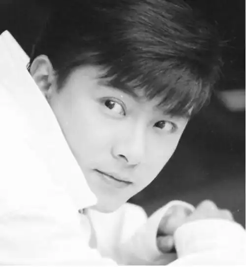 那些年我追过的明星