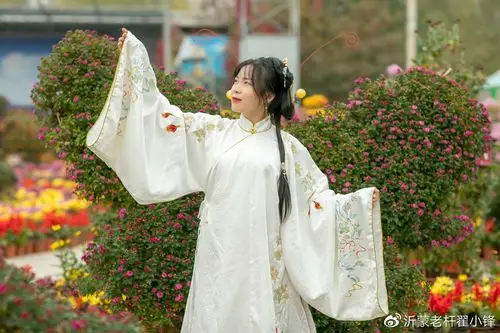 当汉服女孩婠婠遇见红石寨菊花画风有点美