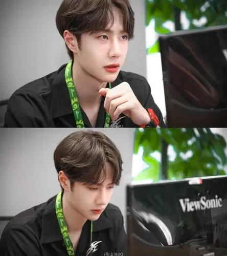 王一博/肖战/博君一肖bjyx