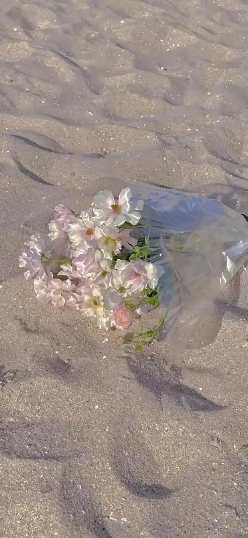 小清新手机壁纸高清全屏(简单耐看的壁纸图片16张)(图14)