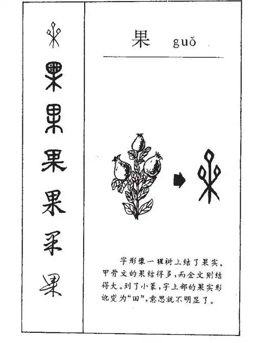 果怎么读_果组词_果读音_果笔顺_果拼音_果笔画_果什么意思_果繁体字