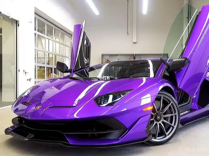 兰博基尼 紫色狂野_兰博基尼怎么样_超跑_汽车_汽车试驾体验_汽车