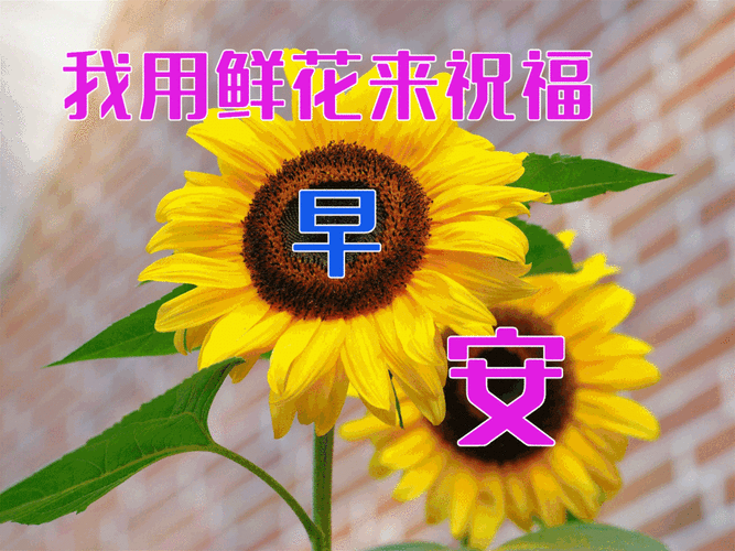 3月24日新的一天非常漂亮的早上好图片免打字朋友圈早安问候祝福语