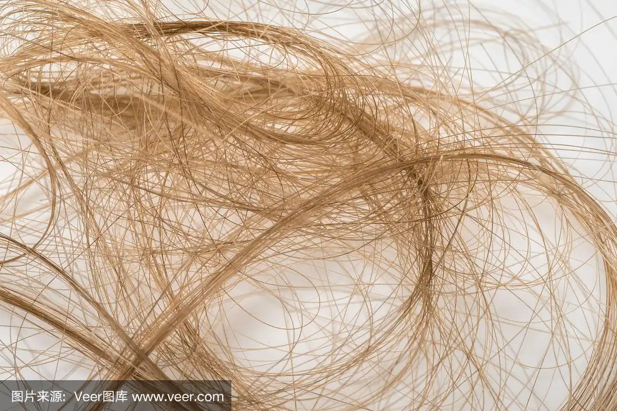 一堆棕色的头发孤立在白色的头发上