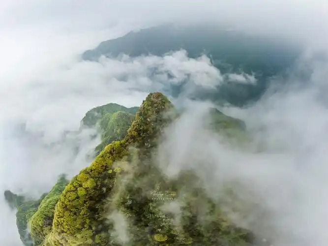 秦岭圭峰山峰顶云海圭峰山海拔1500米,位于西安鄠邑区和长安区交界