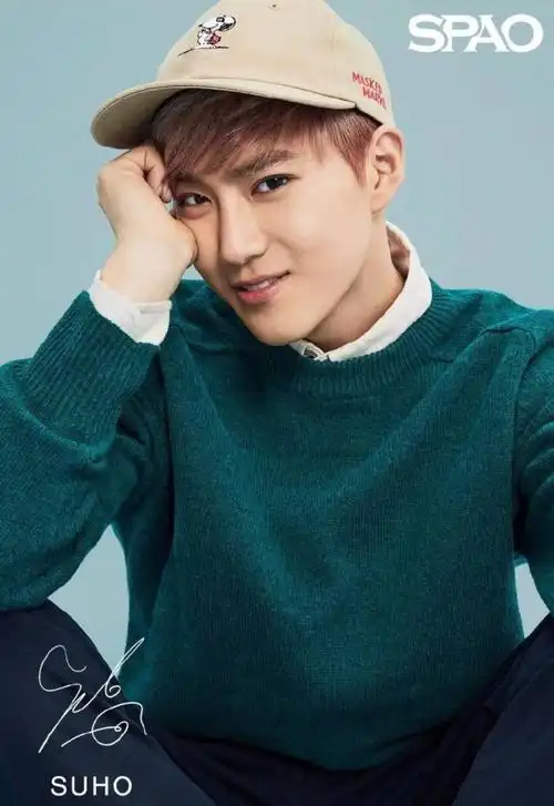 exo 金俊勉suho sapo