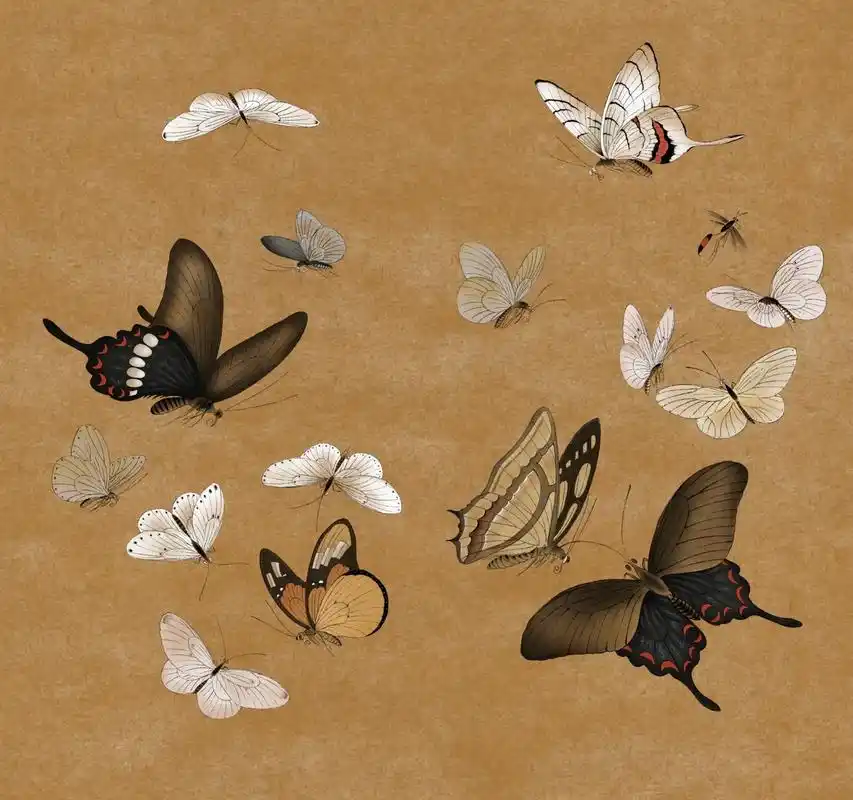 工笔#临摹#国画#蝴蝶#procrea - 抖音