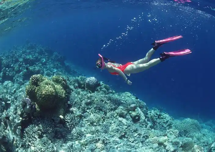 男人们要带自己的女人去潜水,水下是最美的精灵
