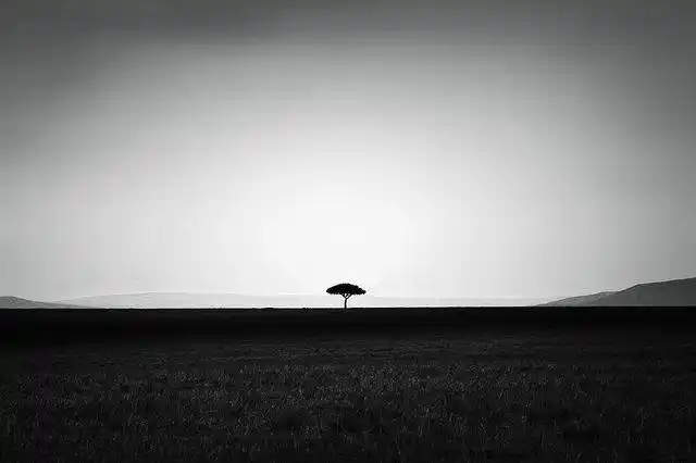 30张沉默的黑白风光