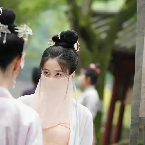 张雪迎《择君记》沈妙