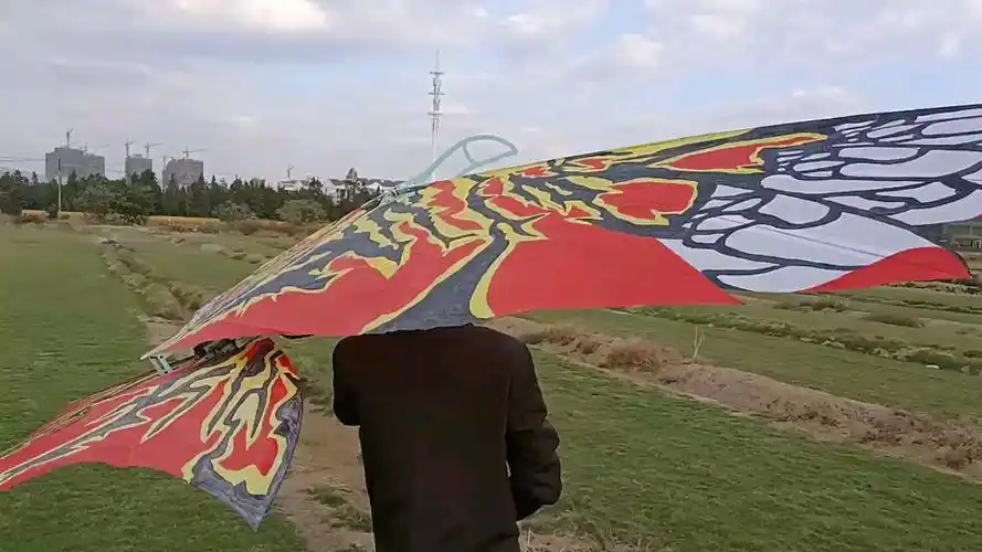 仿生阿凡达魅影龙翼展35米全国首台测试试飞成功