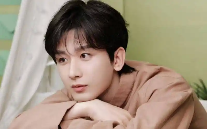 2024.5.31娱乐资讯:成毅,肖战,王一博,王凯,赵丽颖,辛芷蕾,王菲,金莎