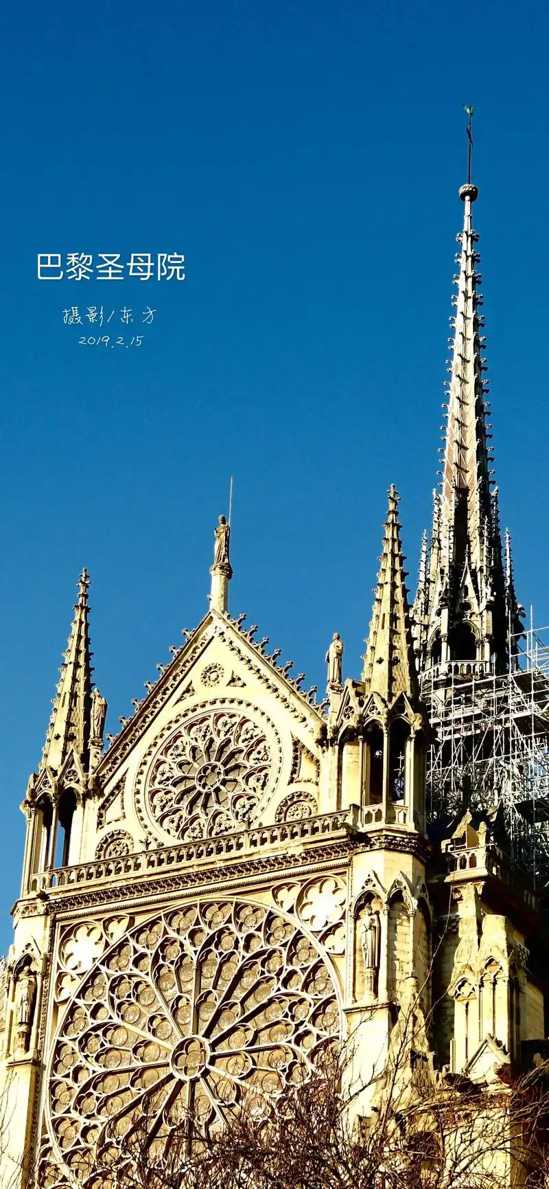 巴黎圣母院摄影/东方2019.2.152019.215201 - 抖音