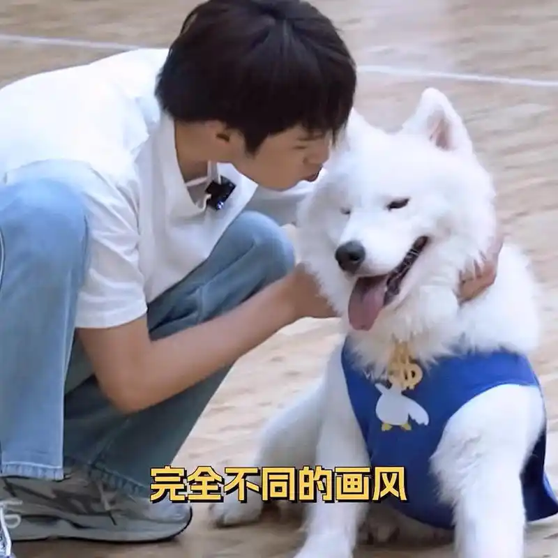 刘耀文第一次赢居然是因为土豆,哈哈哈哈哈也太可爱了吧#娱乐最前沿