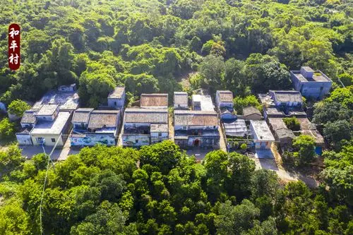 广州知青下乡50周年聚会暨参观瓦北村新农村建设概况