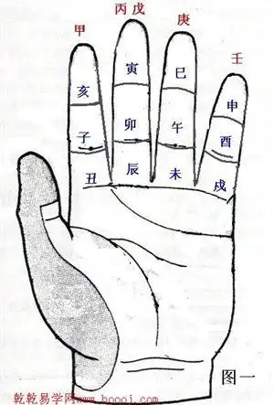 十二地支掌决图及天干地支五行对应表