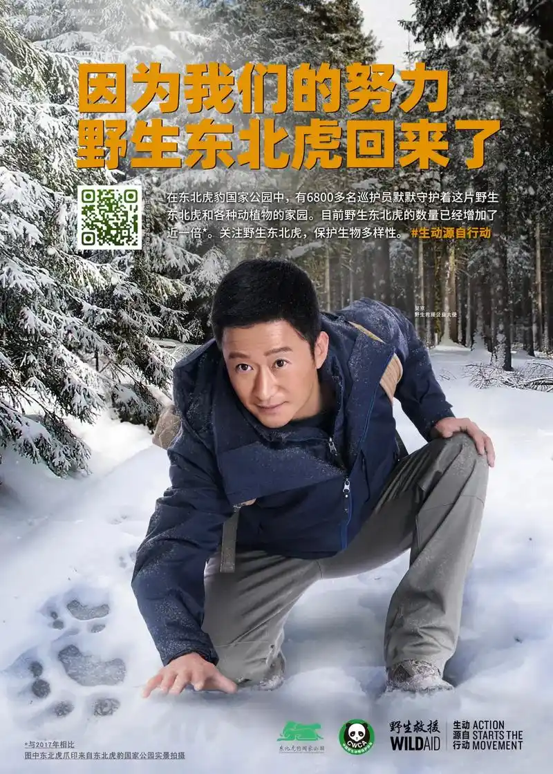 吴京:野生救援公益大使 保护野生东北虎海报全球上线 海报摄影 - 抖音