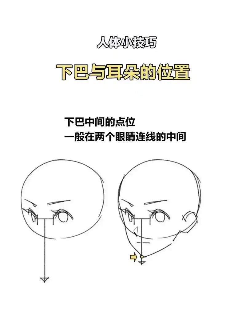 看完就知道了.#图文伙伴计划 #人体结构 # - 抖音