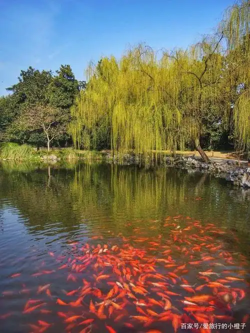 盘点西湖十景后你就知道了