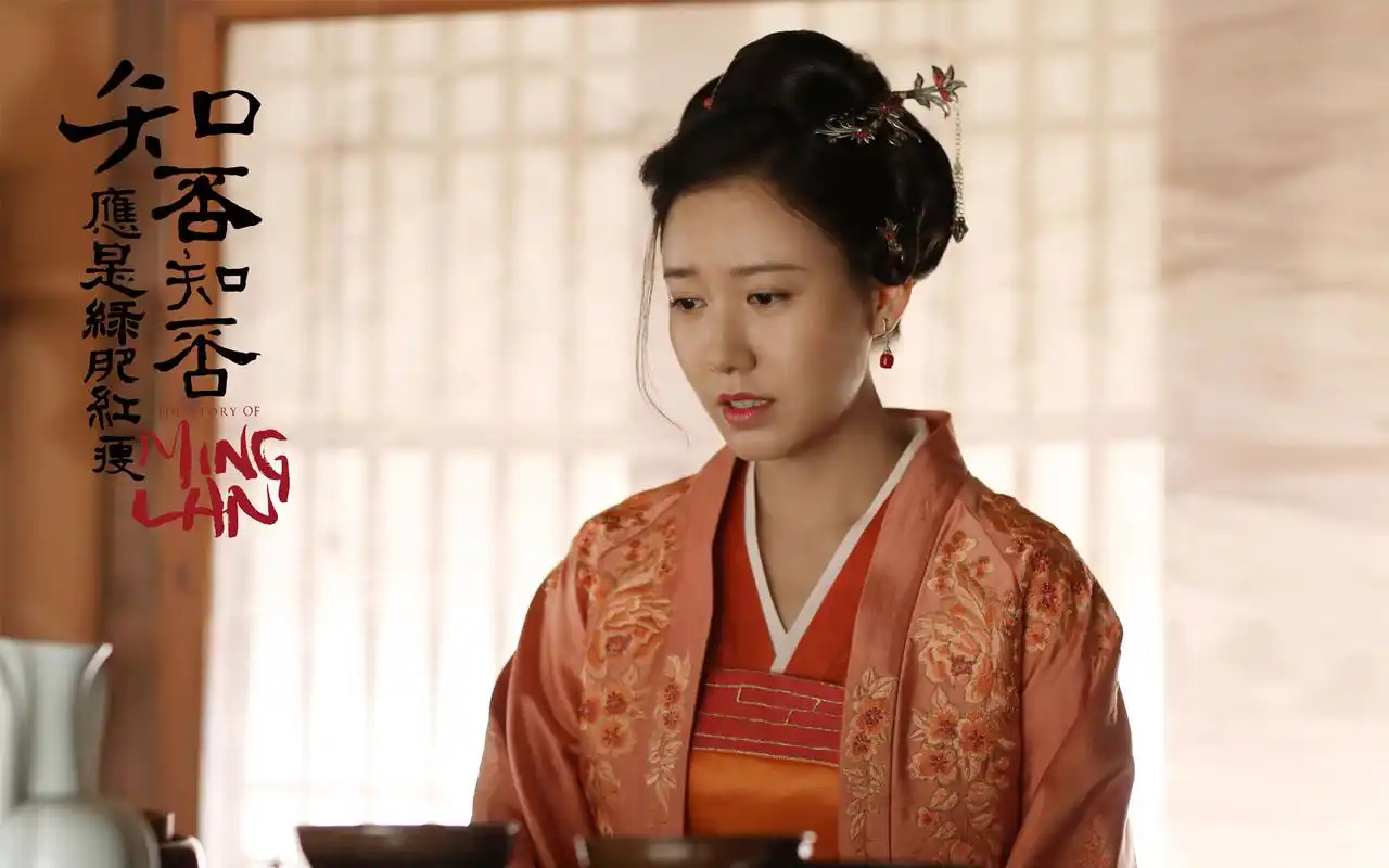 盛纮侍妾,外表柔弱,工于心计,擅长以泪水与言语打动