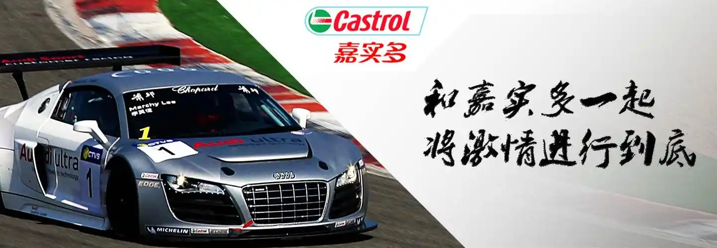 嘉实多冬日直击