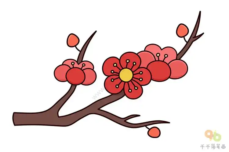 美丽的梅花简笔画图片_梅花简笔画