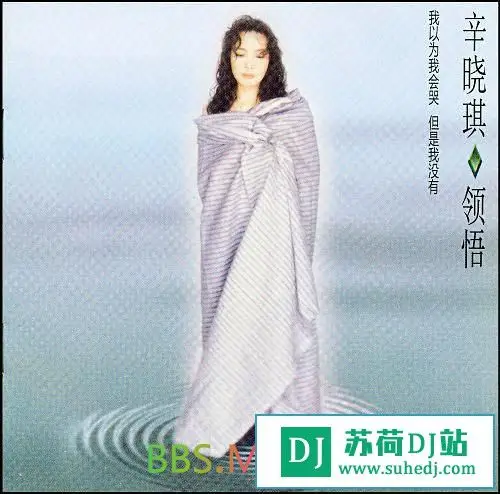 辛晓琪《领悟》[wav分轨/百度]