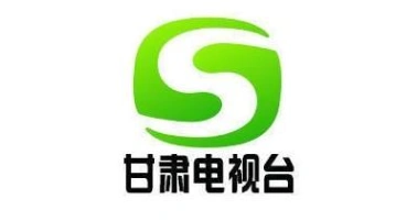 下图是"甘肃电视台"的台标,请写出该台标的构图要素及其寓意.