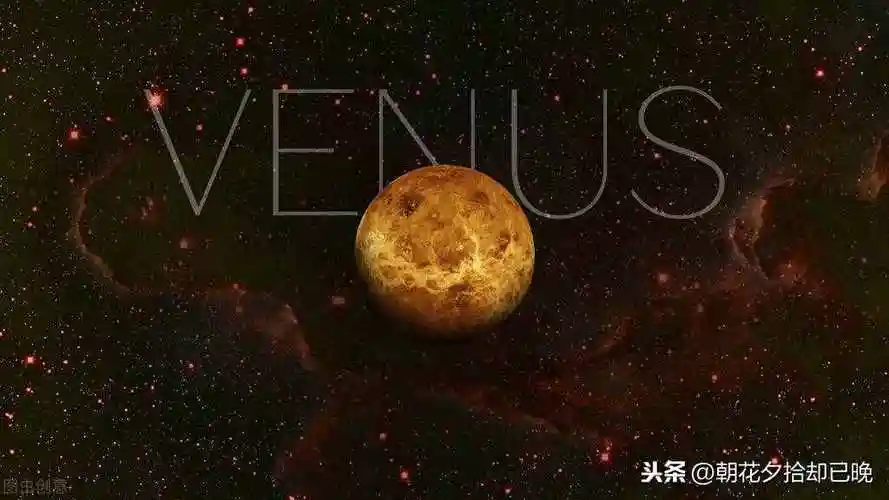 当十二星座落在金星