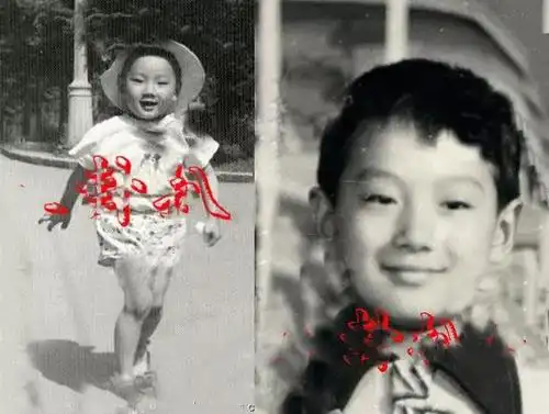 《小舍得》5位演员童年经历:宋佳被"家暴",佟大为太艰苦