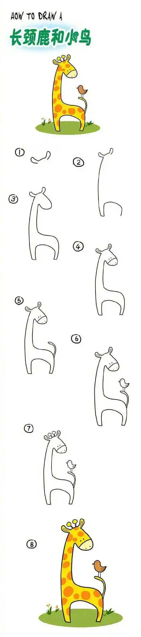 1000种动物简笔画教程1000种动物简笔画教程视频