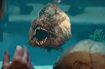 03:45几分钟看完美国灾难电影《食人鱼3d》来源:网易视频发布时间