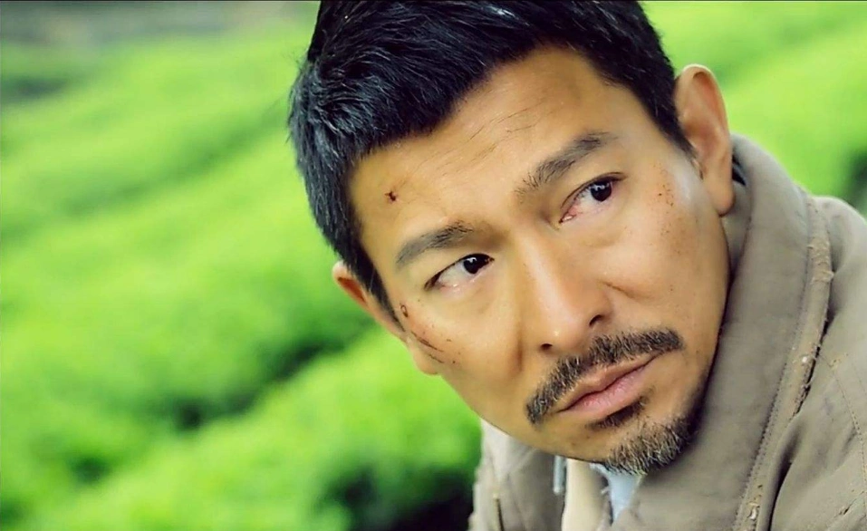 失孤这部电影,刘德华可以说为这部电影付出很多,电影很感人,虽然票房