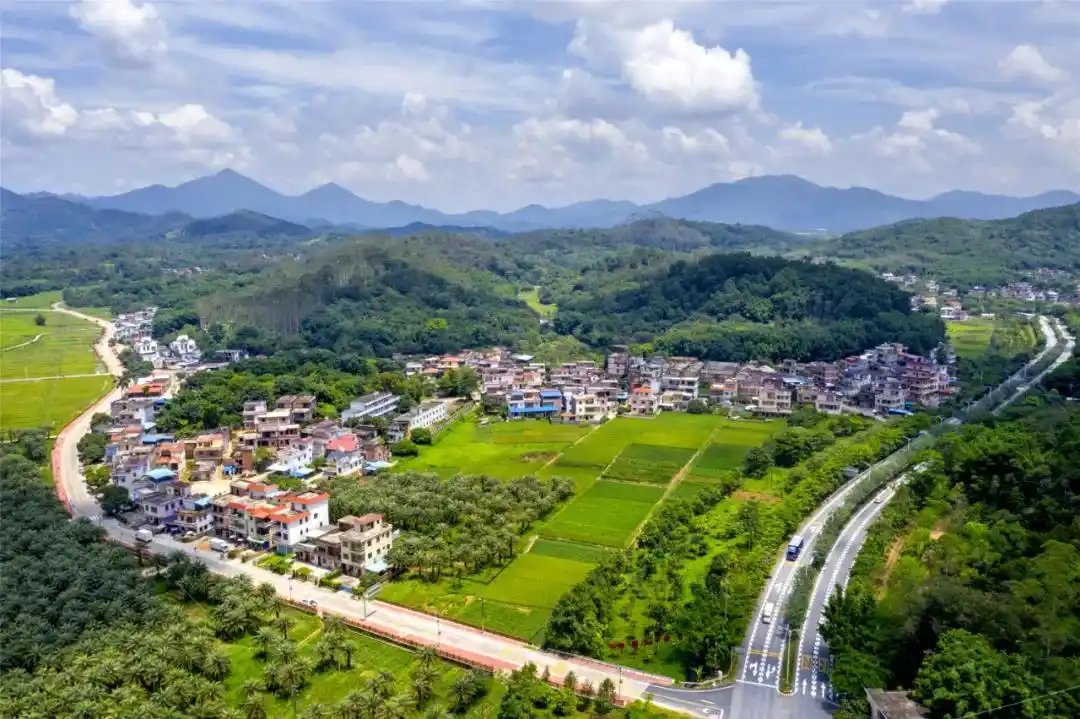 广州增城新乡村示范带规划出炉!27个村将组成"时光穗道"!