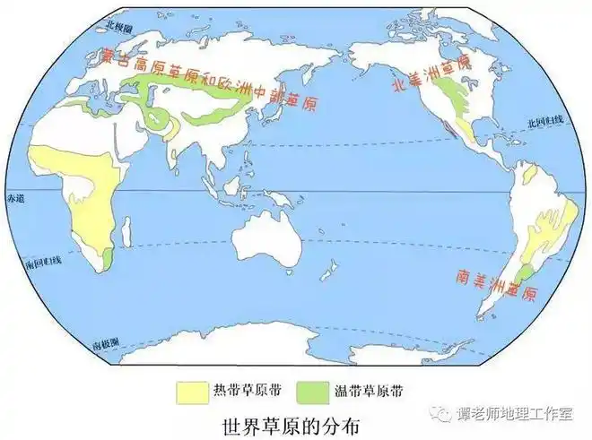世界草地分布温带草原与热带草原对比图草原的类型可以根据对草原的