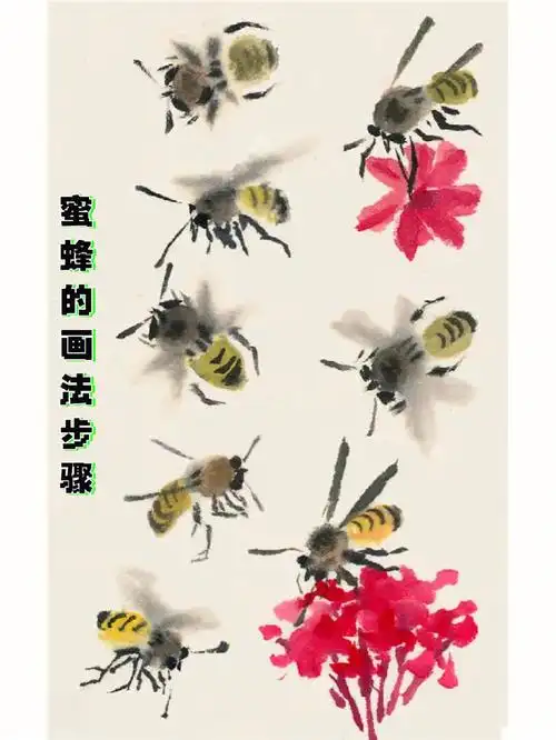蜜蜂的画法