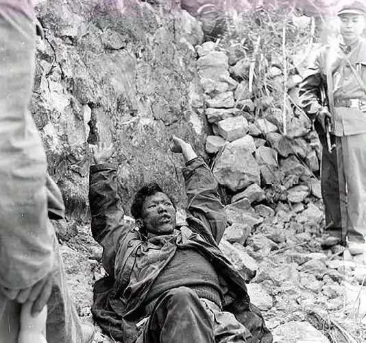 对越反击战越军俘虏盘点:最后照片可看出我军对待俘虏的态度_战俘