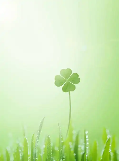 自由,草地,草坪,植物,绿色背景,阴影,新鲜,反射,影子,四叶草,草,幸运