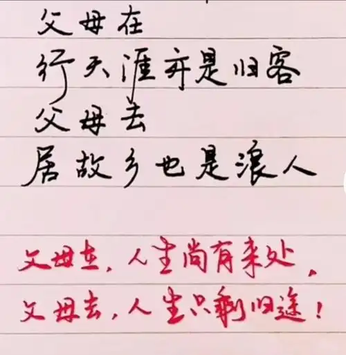 "父母在,人生尚有来处;父母去,人生只剩归途".