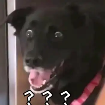 万分惊吓的狗子万分惊吓狗子表情