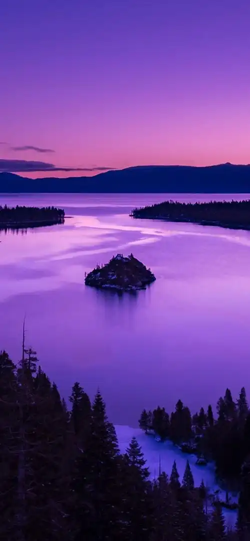 1080_2340竖版 竖屏