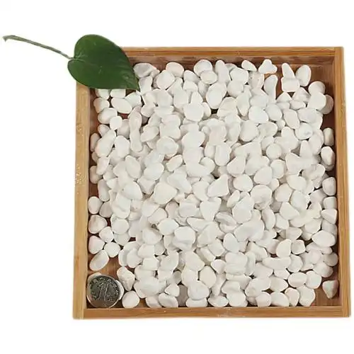 石子天然小白白色石头庭院园林铺路铺地鹅卵石其它园艺用品